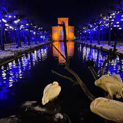 22-12-19 20-19-08 3688